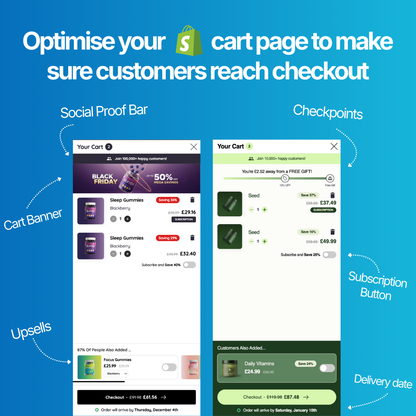 Shopify Theme